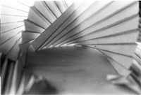Many Project Close-Up