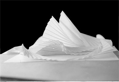 Many Project Elevation